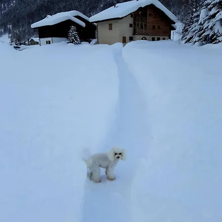 Dany * Livigno